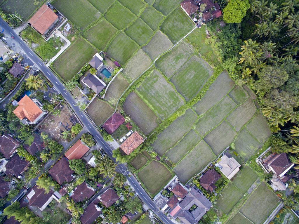 Ubud Kartini Hostel Exterior foto